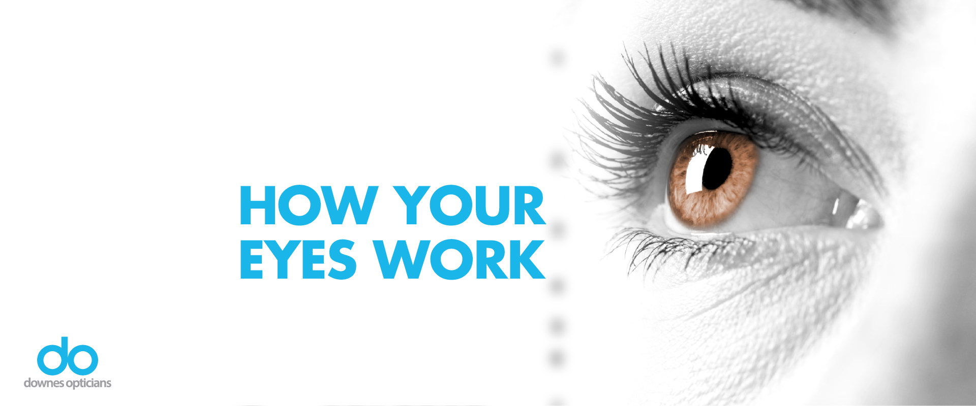 how your eyes work banner